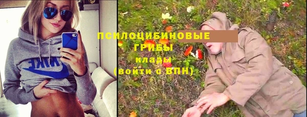 сатива Алексин