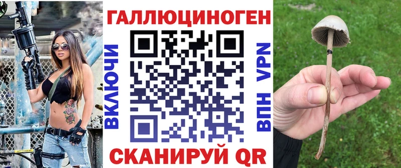 где купить наркотик  площадка какой сайт  Псилоцибиновые грибы ЛСД  Енисейск 